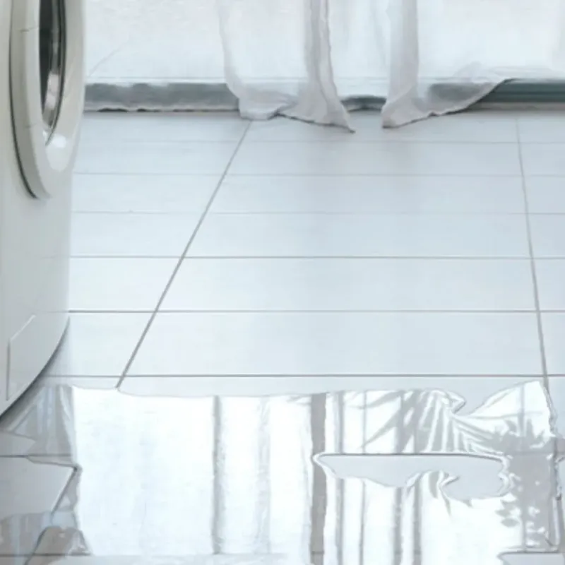 Appliance Leak Cleanup in Russellton, PA