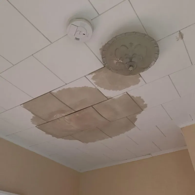 Ceiling Water Damage Repair in Russellton, PA