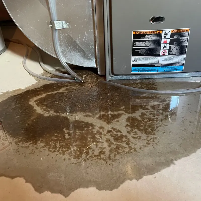 Pipe Burst and Leak Restoration in Russellton, PA