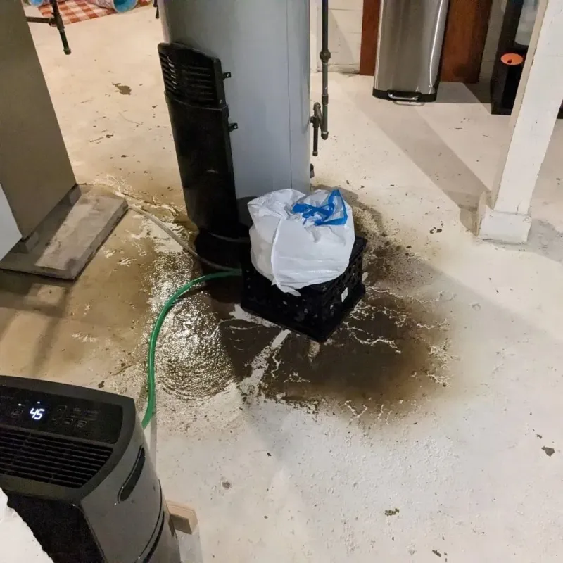 Sewage Backup Cleanup Service in Russellton, PA